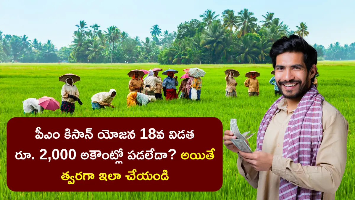 pm-kisan-yojana-18th-installment-release-beneficiary-details